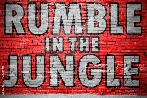 Rumble in the Jungle Ziegelsteinmauer Graffiti