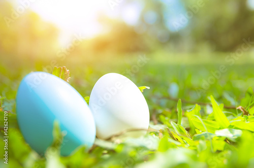 Easter eggs in grass against blurred green background. Spring holidays concept