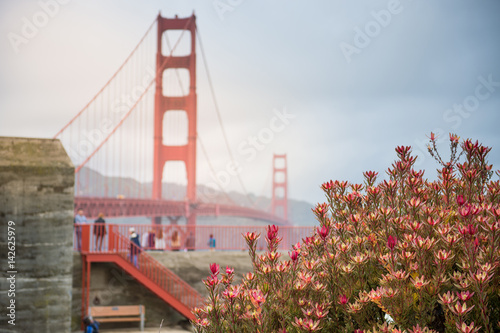 Golden gate bridge with flower in foreground © Panot