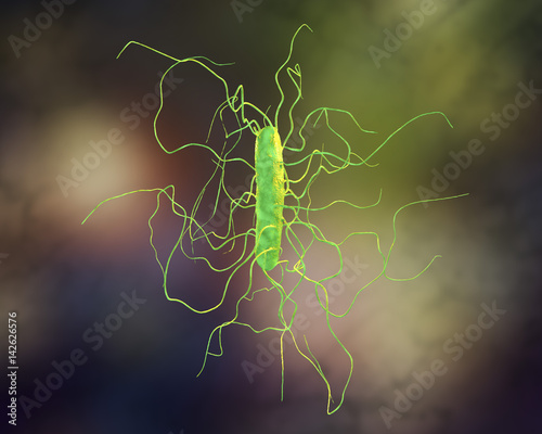 Clostridium difficile bacterium, 3D illustration. Bacteria which cause pseudomembraneous colitis and are associated with nosocomial antibiotic resistance photo