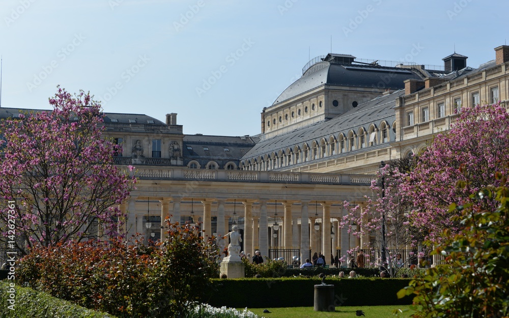 Fototapeta premium Paris palai royal