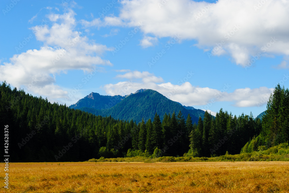 Tumtum Peak, Bear Prairie, Lewis County, Washington. 2016