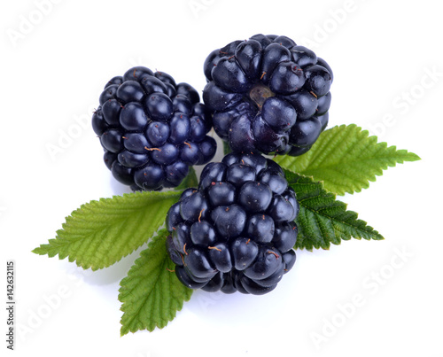 dewberries (blackberries) and green leaves
