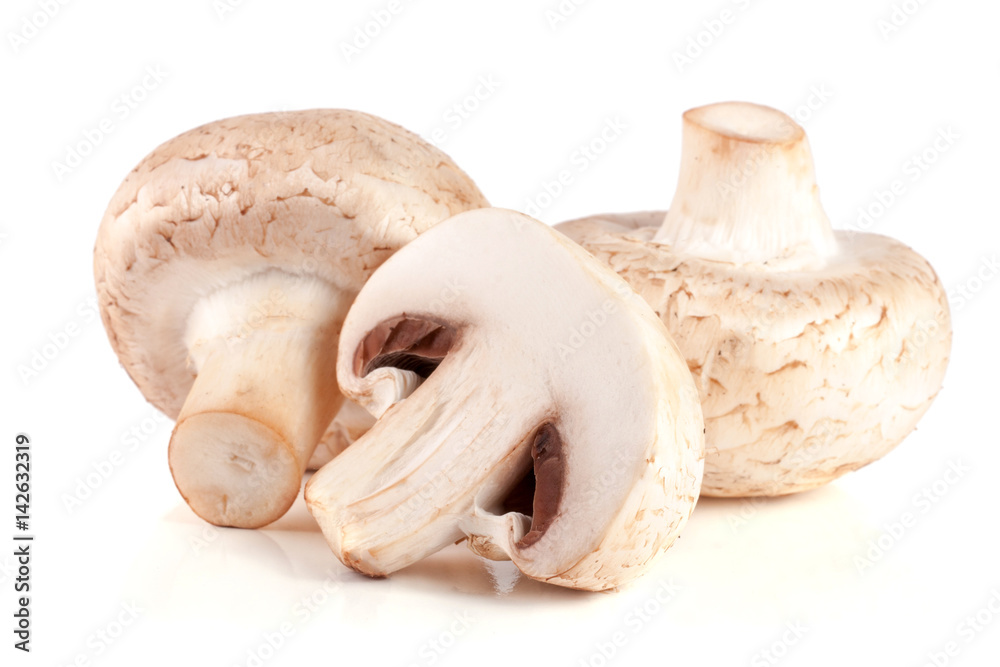 Fresh champignon mushrooms isolated on white background Fresh champignon mushrooms isolated on white background