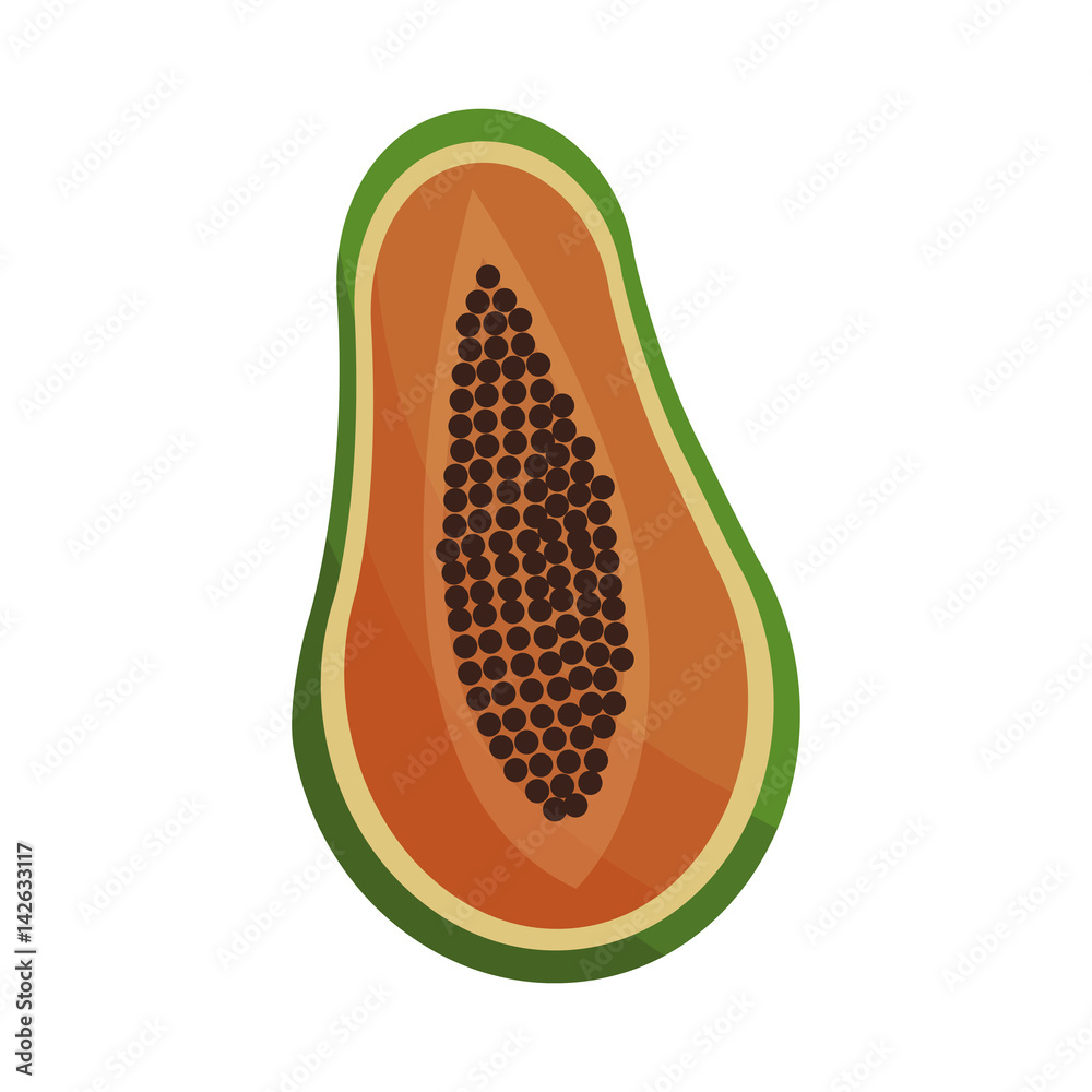 paw paw fruit icon over white background. colorful design. vector illustration paw paw fruit icon over white background. colorful design. vector illustration