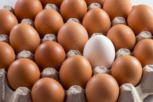 white chicken egg among brown in the tray storage