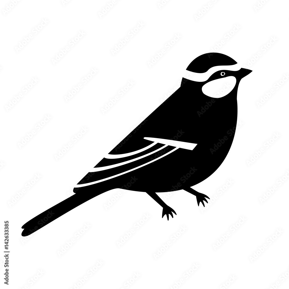 Fototapeta premium Titmouse silhouette on white background
