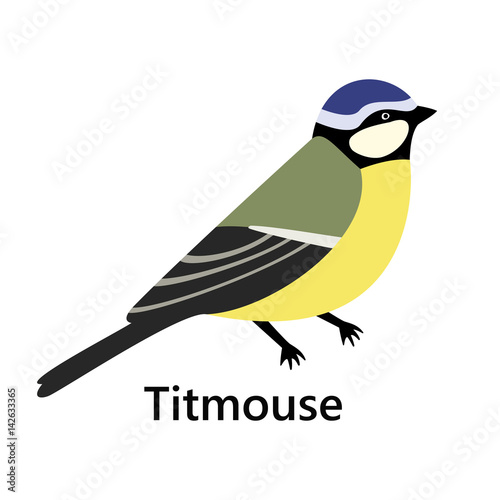 Titmouse color on white background text