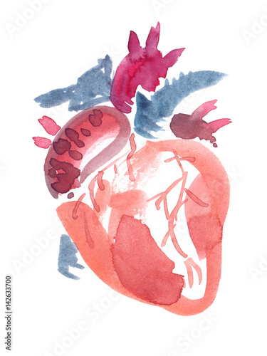 Abstract anatomical human heart painted in watercolor on clean white background