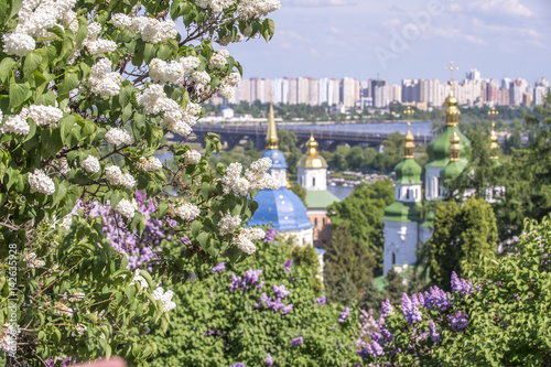 Vudubickiy the city of Kiev in the flowering lilac with a view of the left bank of Kiev photo