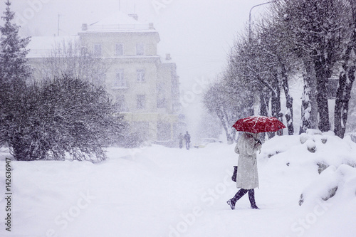 Park woman red umbrella tree snow winter
