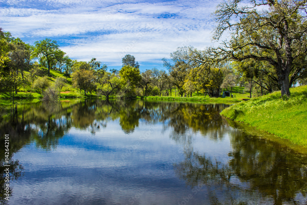 Oak Trees Reflection Off Shimmering Pond Oak Trees Reflection Off Shimmering Pond