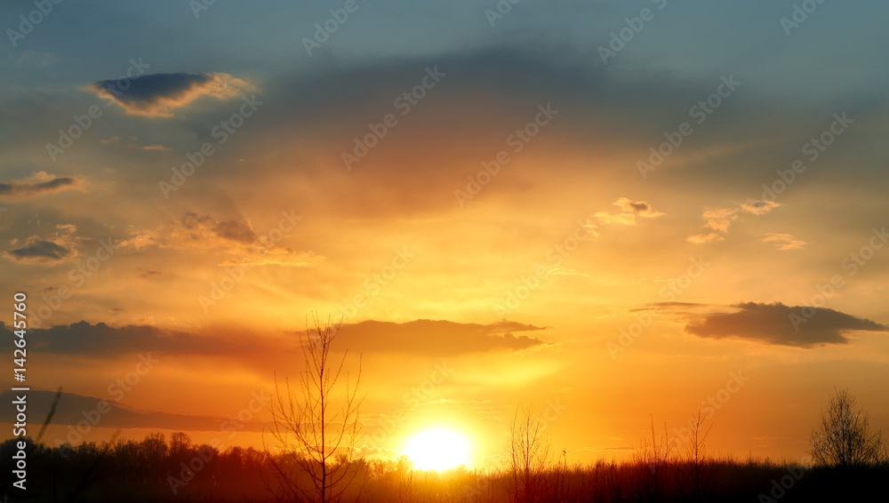 Sunset over the field