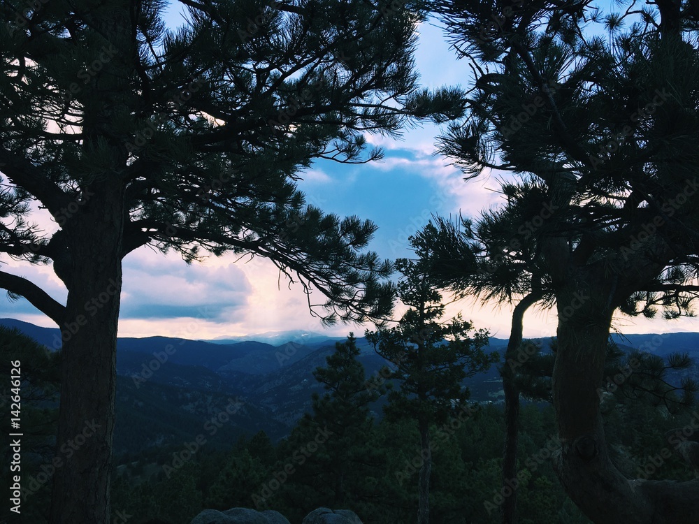 Obraz premium Sunset Behind Trees