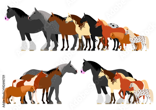 Border of horses arranged in order of height