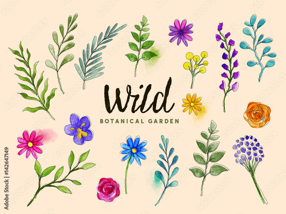 Wild Botanical Plants and Flowers vector