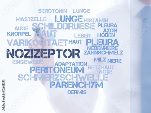 Nozizeptor