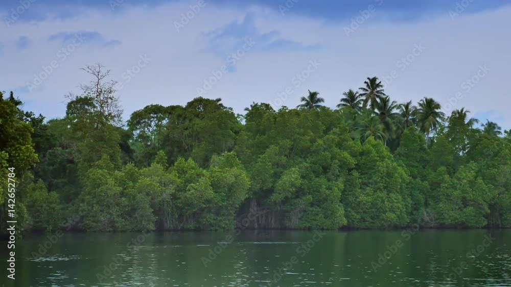 Sri Lanka coast from boat. Beautiful green tropical nature growing on shore Sri Lanka coast from boat. Beautiful green tropical nature growing on shore
