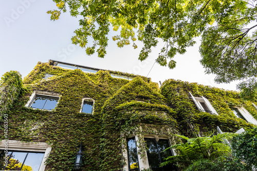 Traditional classic old architecture houses with a lot of vertical green plants in Palermo Chico neighborhood, Buenos Aires, Argentina