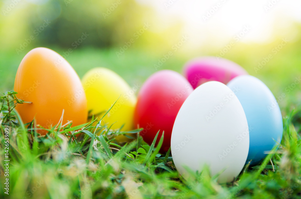 Easter eggs in grass against blurred green background. Spring holidays concept Easter eggs in grass against blurred green background. Spring holidays concept