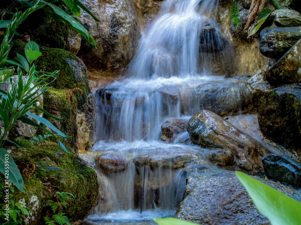 Fototapeta premium A natural waterfall at the Penang Municipal Park
