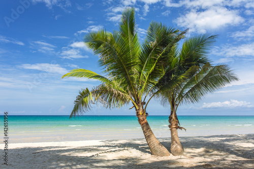 Fototapeta Naklejka Na Ścianę i Meble -  Palm trees on beautiful tropical beach on Koh Kood island in Thailand