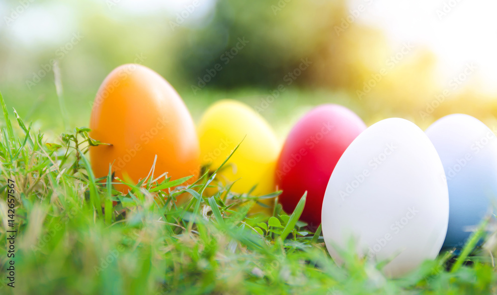 Easter eggs on green grass. Spring holidays concept Easter eggs on green grass. Spring holidays concept