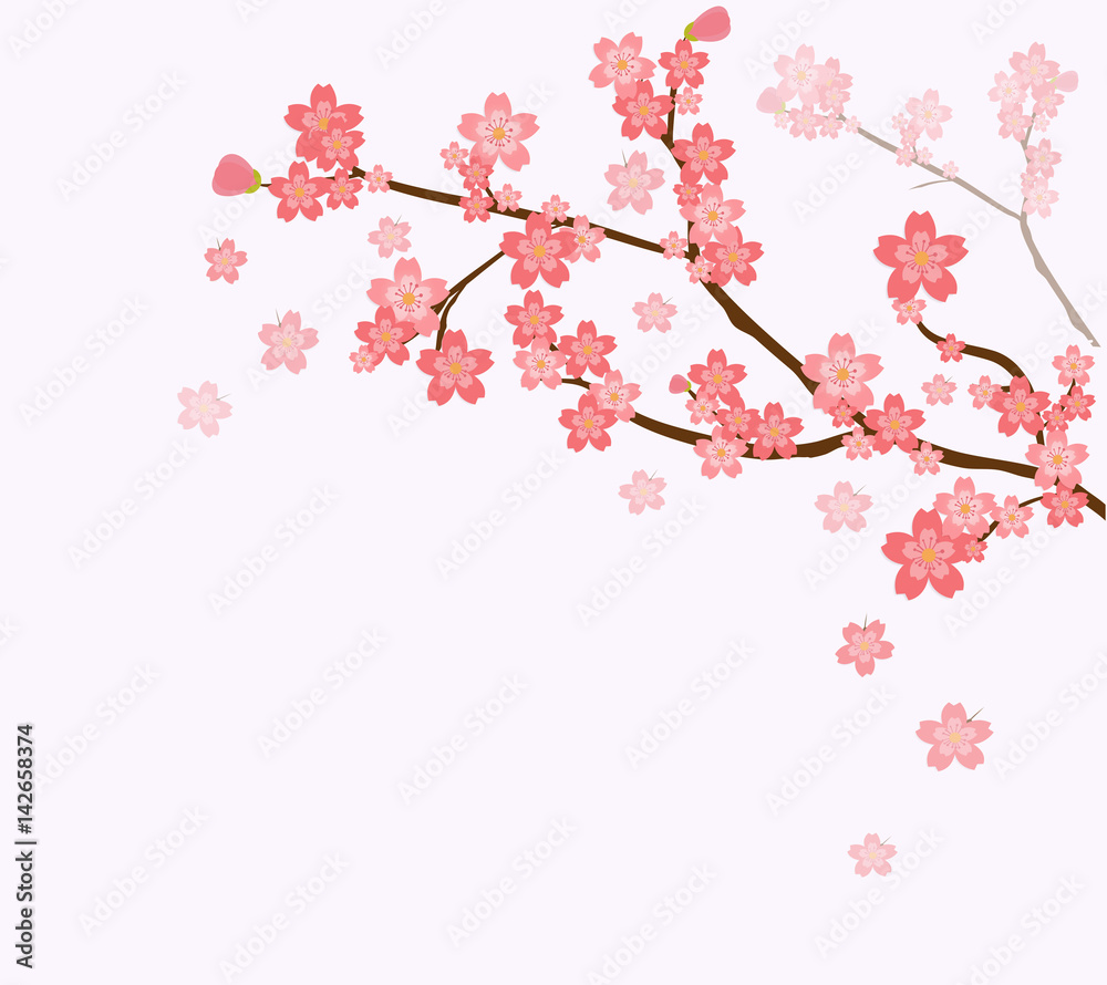Blooming cherry tree branch background
