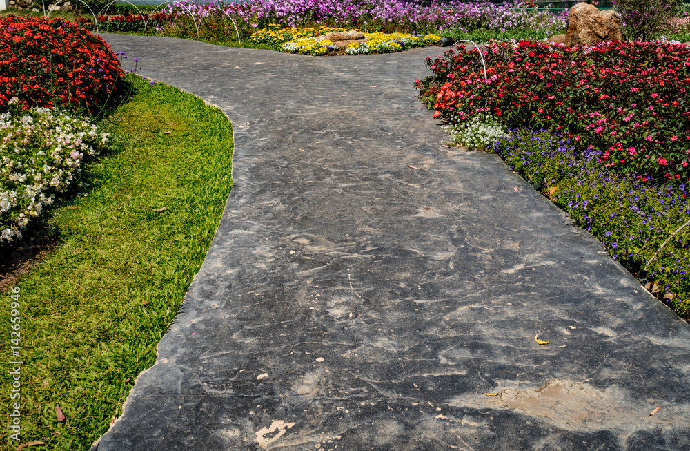 Fototapeta premium Concrete Pathway in garden