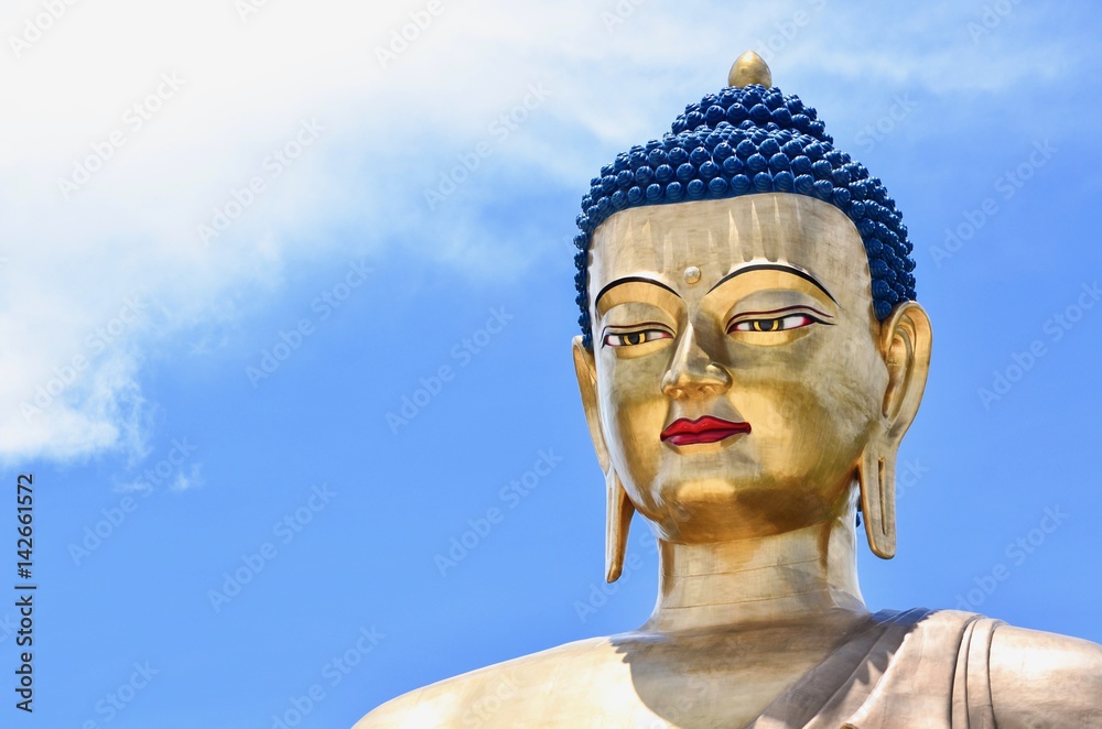 Bronze Statue of Buddha Dordenma Overlooking Thimphu City Bronze Statue of Buddha Dordenma Overlooking Thimphu City