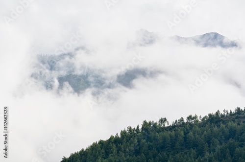 Misty Mountain During the Early Morning in Paro, Bhutan