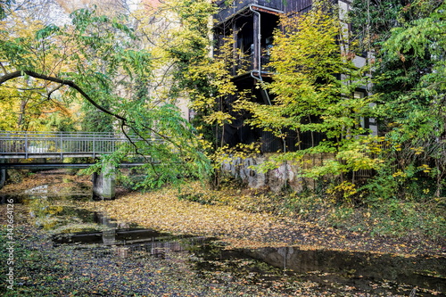 Braunschweig, Stadtpark im Herbst