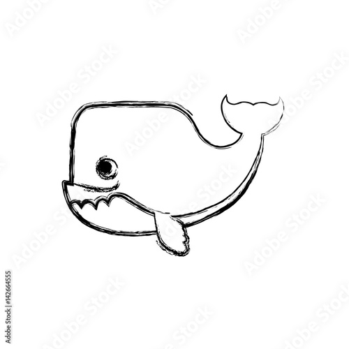 whale cartoon drawing animal vector icon illustration