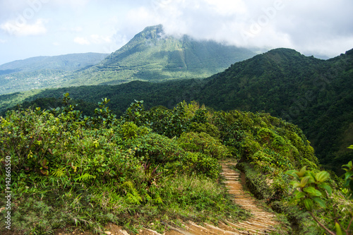 Canvas Print Dominica Mountain Landscape on Boiling Lake Hike