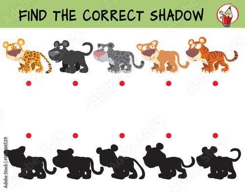 Big cats. Leopard, panther, snow leopard, puma, tiger. Find the correct shadow. Educational game for children. Cartoon vector illustration.