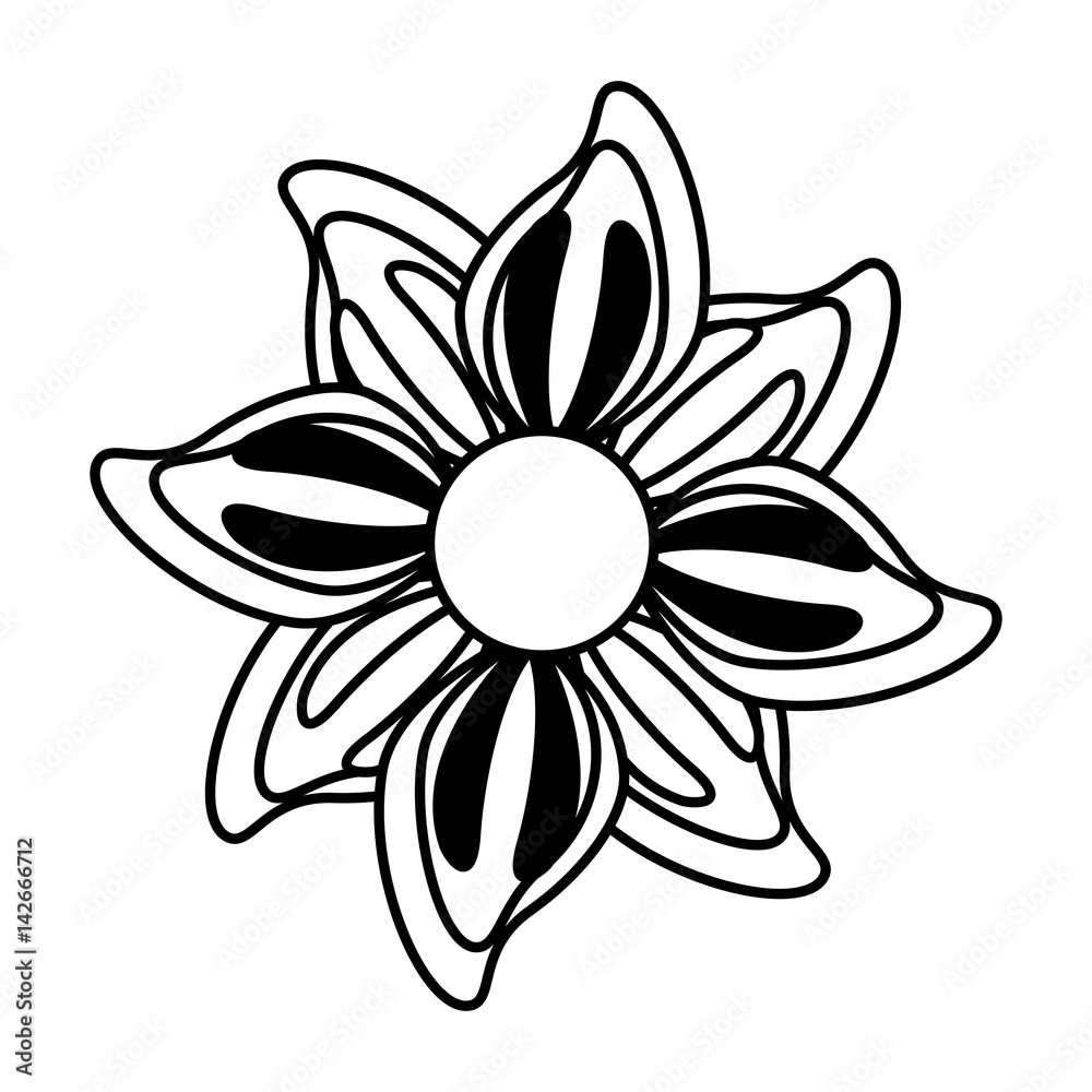 cute flower isolated icon vector illustration design cute flower isolated icon vector illustration design