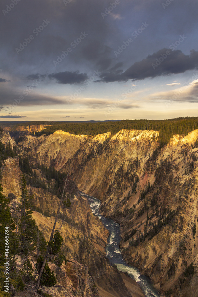 Lower Fall and River viewed from Artist Point, Grand Canyon at Yellowstone