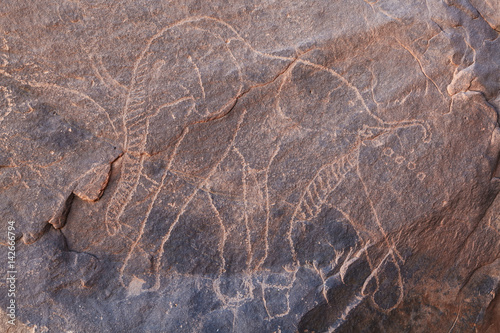 Rock engraving in Sahara Desert photo