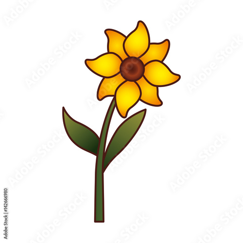 cute flower isolated icon vector illustration design © Gstudio