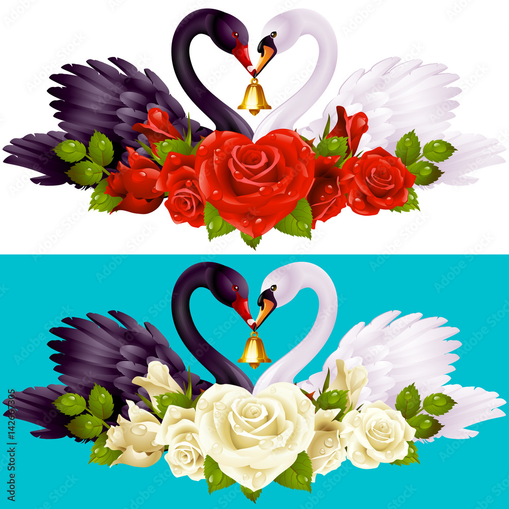 Fototapeta premium Vector Set of Swan Couple and Roses. Black Cob and White Pen hold a Golden Bell. Birds Neck and Flowers have a Heart Shape. Valentines Day Card or Wedding Invitation Isolated on Background