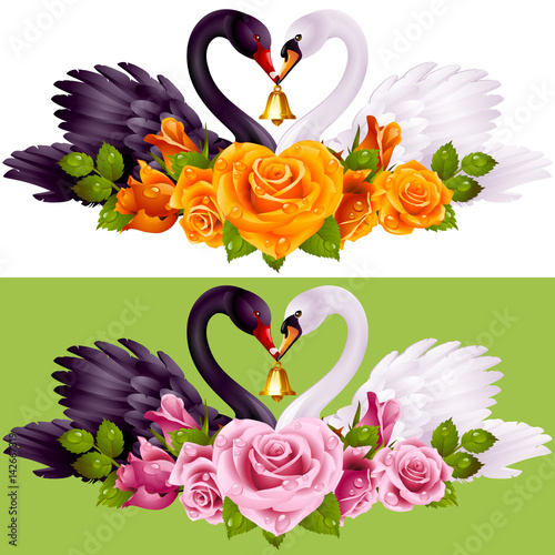 Vector Set of Swan Couple and Roses. Black Cob and White Pen hold a Golden Bell. Birds Neck and Flowers have a Heart Shape. Valentines Day Card or Wedding Invitation Isolated on Background