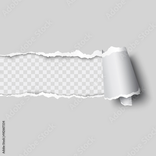 vector ripped paper, layered