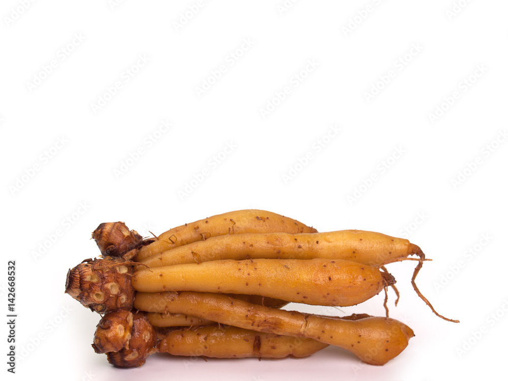 Fingerroot, Kaempfer, Boesenbergia on white background. Fingerroot, Kaempfer, Boesenbergia on white background.