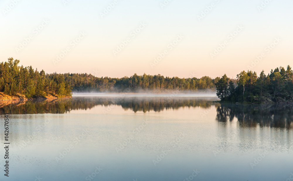 morning on a forest lake