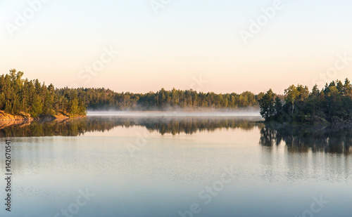 morning on a forest lake
