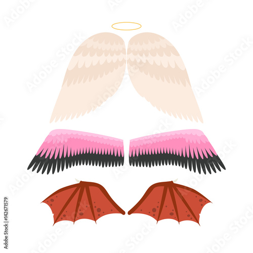 Wings isolated animal feather pinion bird freedom flight and natural hawk life peace design flying element eagle winged side shapevector illustration. photo