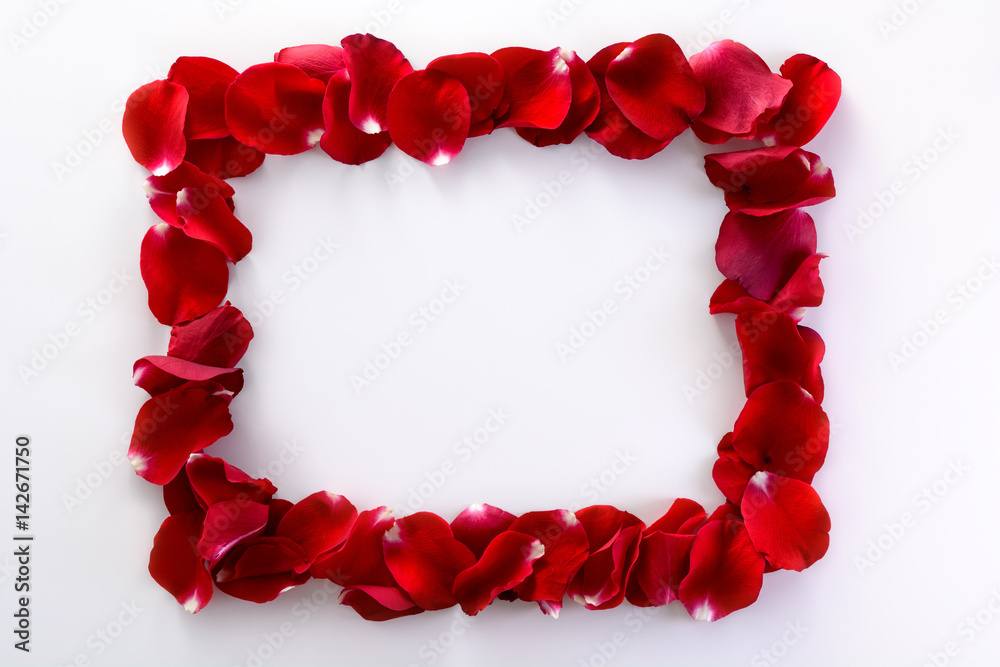 Beauty frame from rose's petals Beauty frame from rose's petals