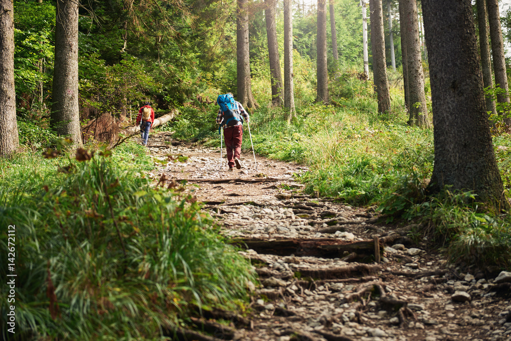 Two hikers walking along a forest trail Two hikers walking along a forest trail
