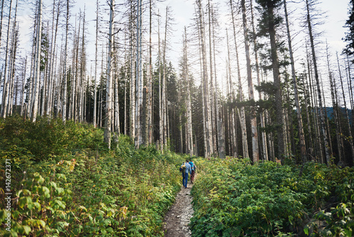 Friends hiking along a trail in the forest