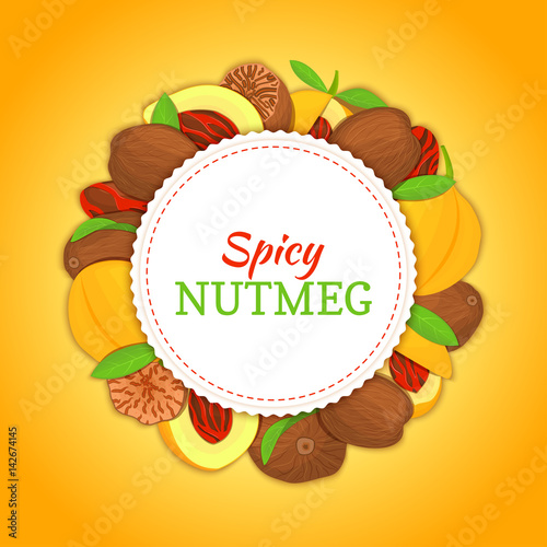 Round white frame composed of Nutmeg spice fruit. Vector card illustration. Nutmeg nuts frame, fruit in the shell, whole, shelled, leaves appetizing looking for packaging design of healthy food